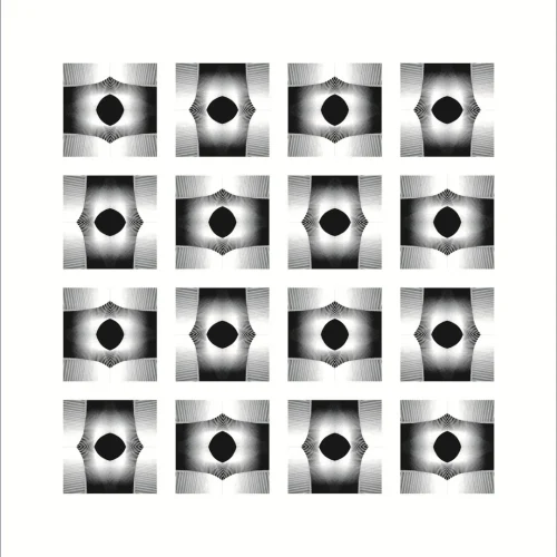 "Observación" - Tramas Morfológicas